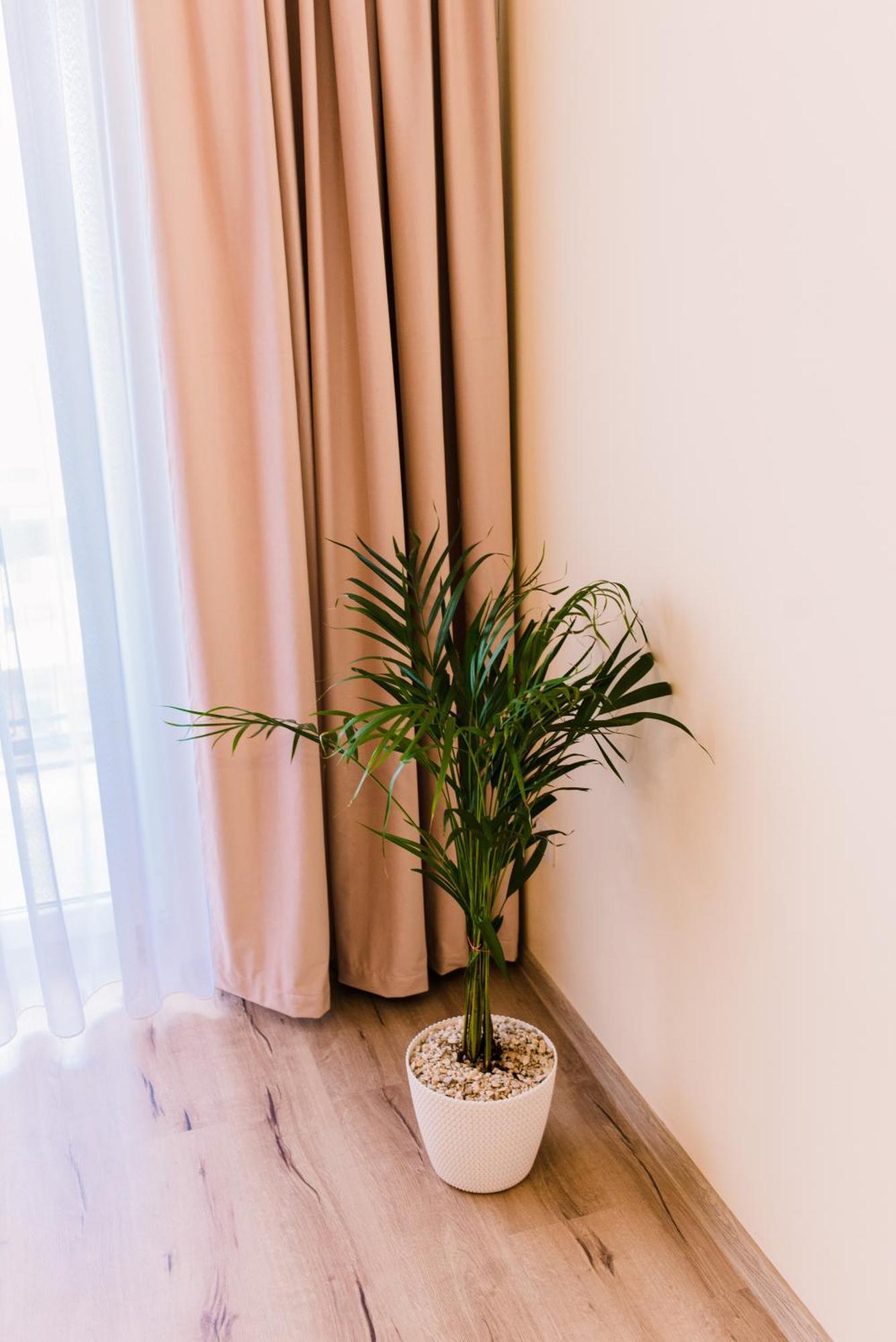 Central White Apartment Сату Маре Екстериор снимка