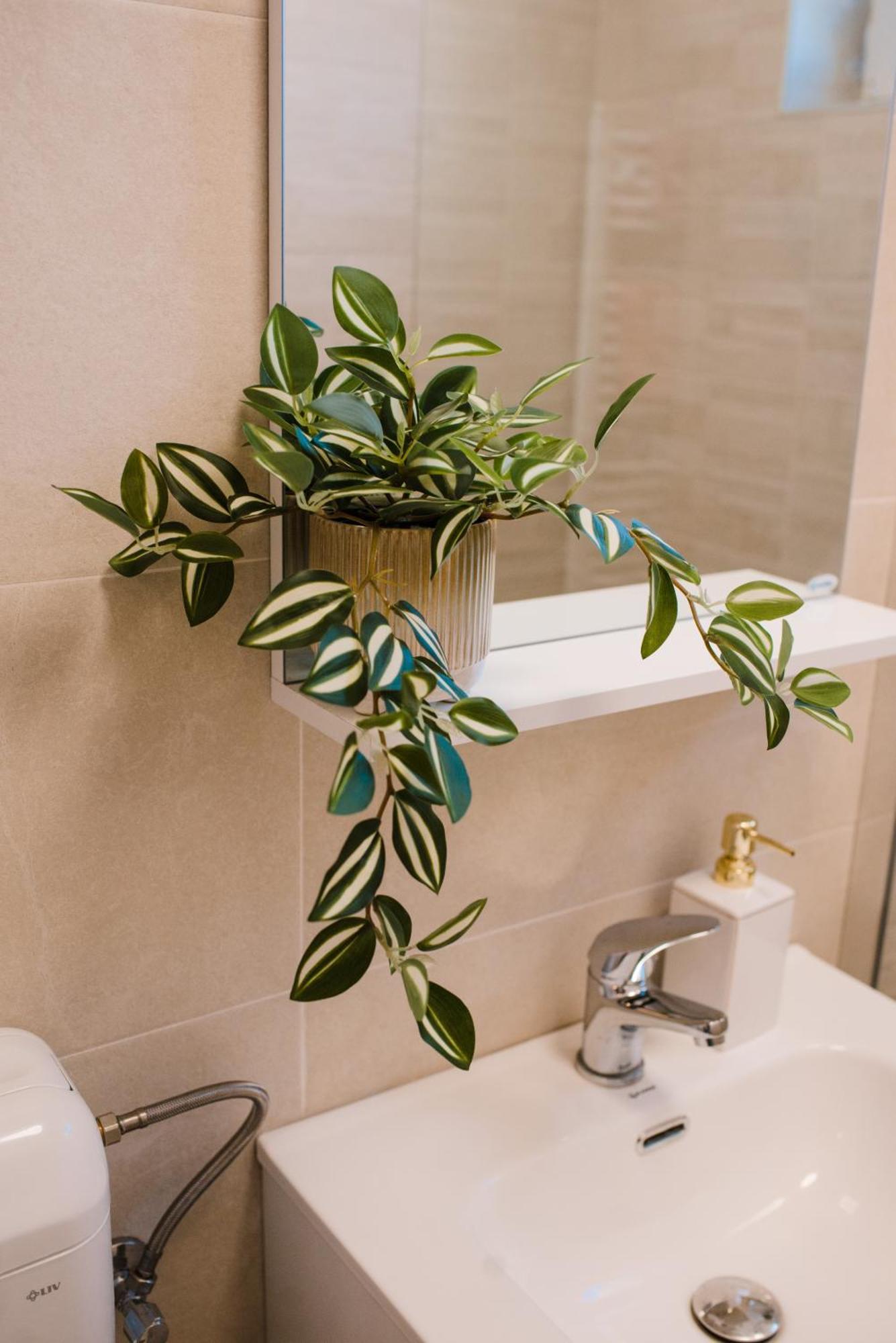 Central White Apartment Сату Маре Екстериор снимка